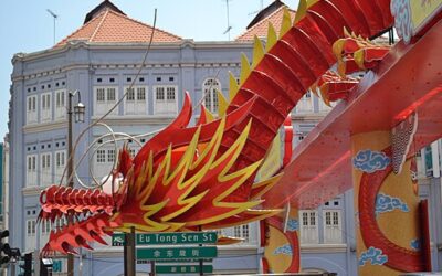 Languages of Singapore: Mandarin vs. Cantonese